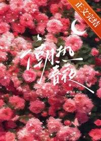 潮剧四郎探母